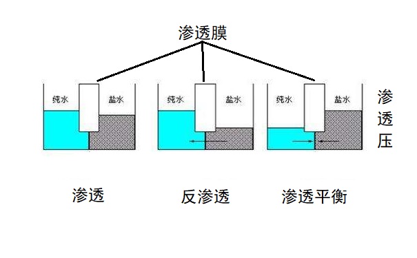 反滲透系統(tǒng)